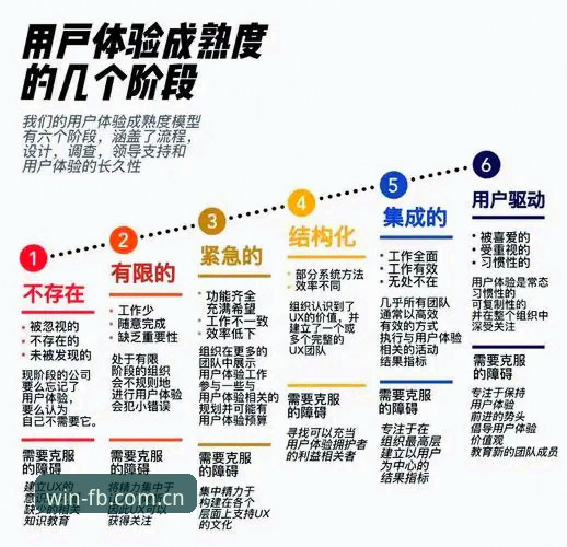 FB体育平台全面解析：从版本更新到用户体验的深度分析